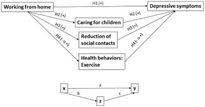 Women's Experience of Depressive Symptoms While Working From Home During the COVID-19 Pandemic: Evidence From an International Web Survey